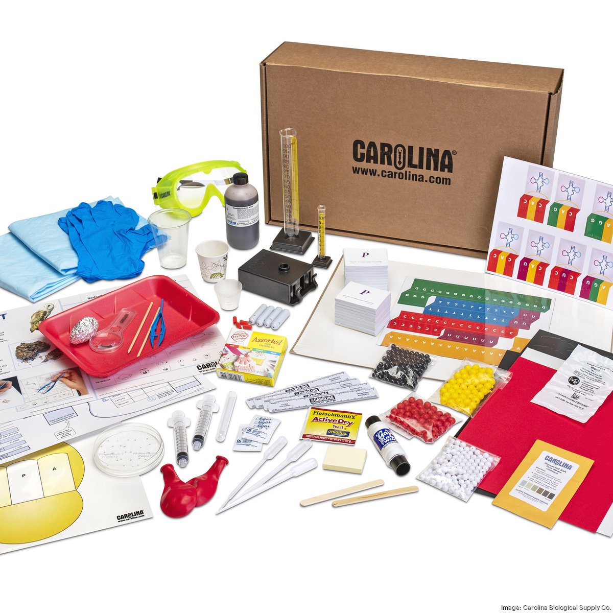 biology-bundle_1200xx2093-2093-454-0